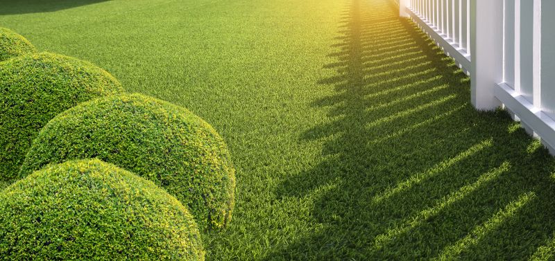 Artificial Grass Installation in Summer