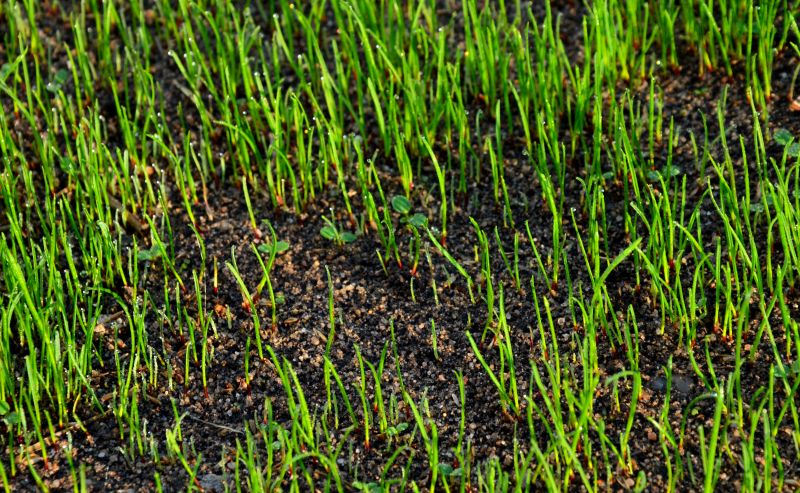 Early Spring Installation